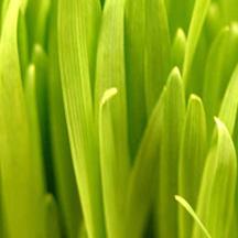 【商业版】授权的网络ddos攻击软件